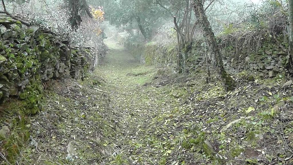 Гостевой дом Los Montes Касас-де-Миравете Экстерьер фото