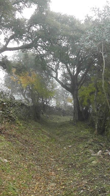 Гостевой дом Los Montes Касас-де-Миравете Экстерьер фото